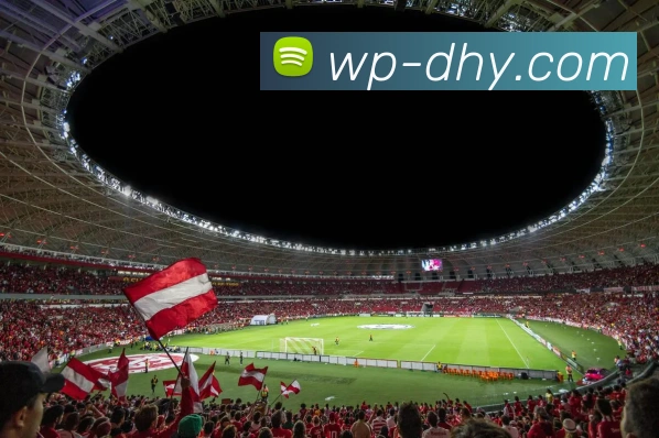 大红鹰DHY官网平台生态图