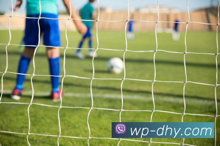 大红鹰DHY官网APP 封面图